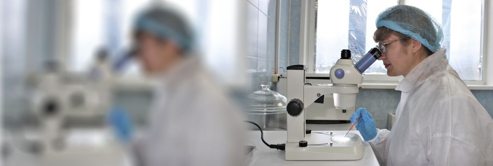 Все услуги в одном месте