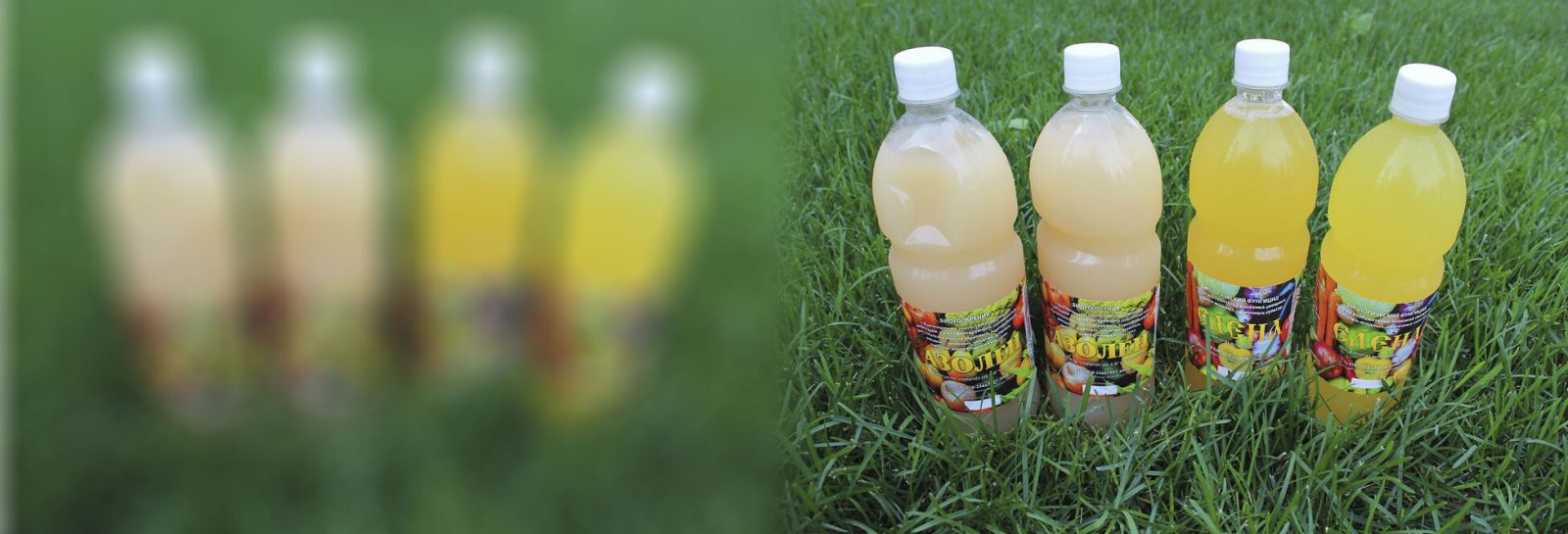 БИОпрепараты для защиты растений от болезней