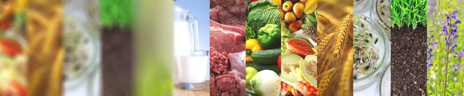 Исследования пищевых продуктов, зерна, семян, объектов окружающей среды, карантин растений